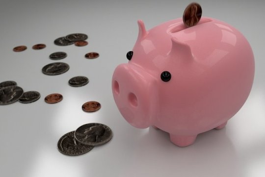 Pink Piggy Bank